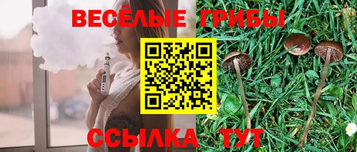 Видное  Псилоцибиновые грибы мицелий  Вход с VPN 