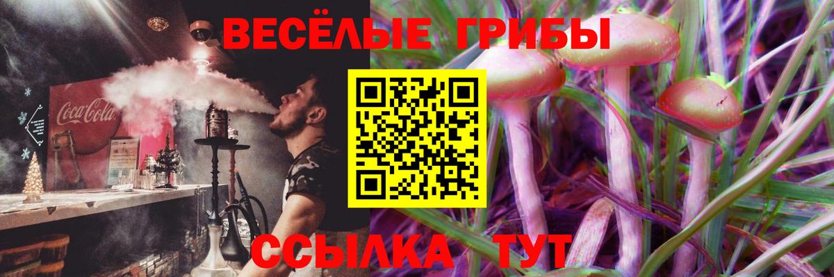 Галлюциногенные грибы Cubensis Видное